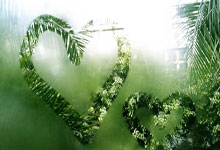 北京国安队员出色表现，力挫对手取胜